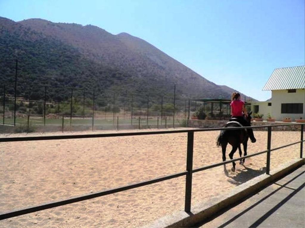 Lefkoritis Resort Askifou Sfakia Petrés Extérieur photo