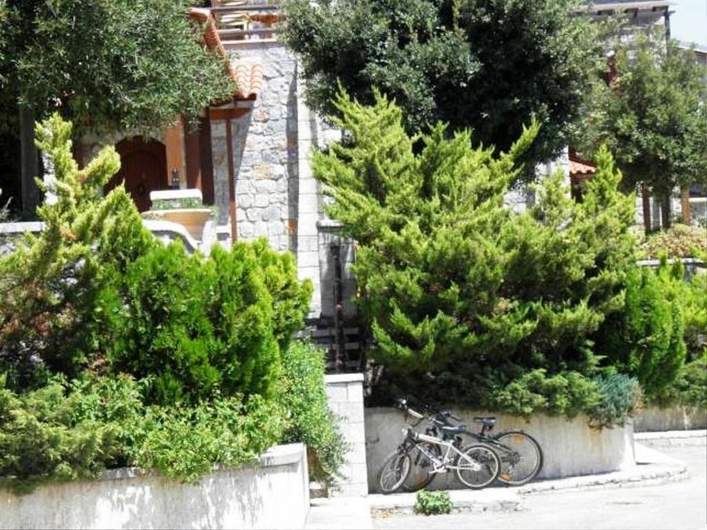 Lefkoritis Resort Askifou Sfakia Petrés Extérieur photo